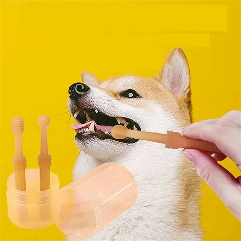 597765892